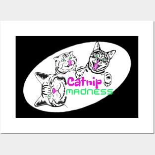 catnip madness, funny cute cats, for cat owner Posters and Art